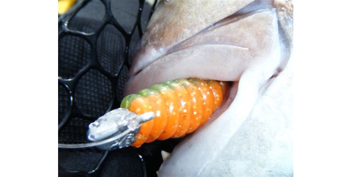 Chomp Green Orange Grub